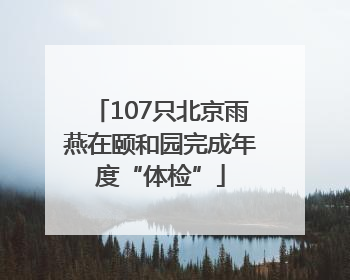 107只北京雨燕在颐和园完成年度“体检”
